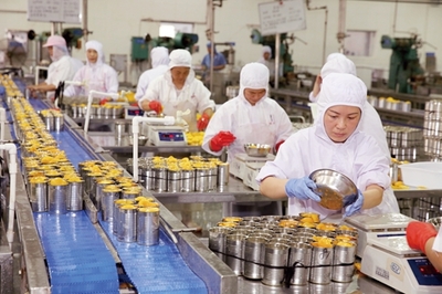 淮北貝寶食品全力投入黃桃罐頭生產(chǎn)，保障市場供應(yīng)與品質(zhì)